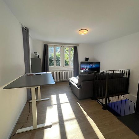 Blick Auf Schwarzen Turm - Freihofapartments Brugg  Eksteriør bilde