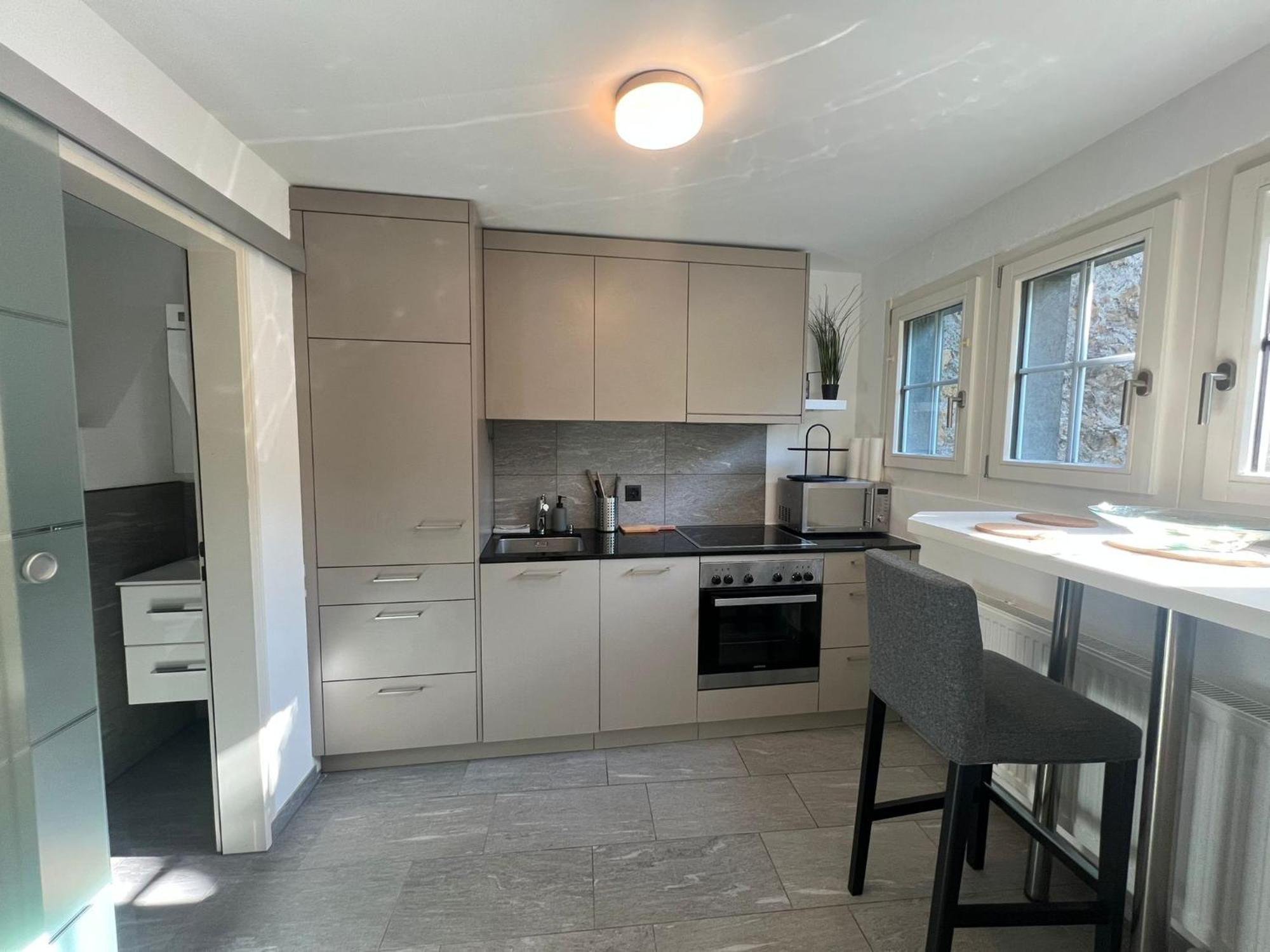 Blick Auf Schwarzen Turm - Freihofapartments Brugg  Eksteriør bilde